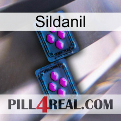 Sildanil 03
